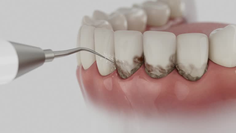 Reliable Dental contractor in Mayfair, CA by Dentist Open Now